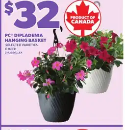 Loblaws PC DIPLADENIA HANGING BASKET 11INCH offer