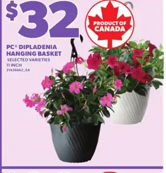 Loblaws PC DIPLADENIA HANGING BASKET 11INCH offer