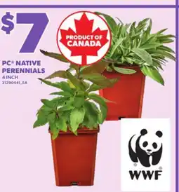 Loblaws PC NATIVE PERENNIALS, 4 INCH offer