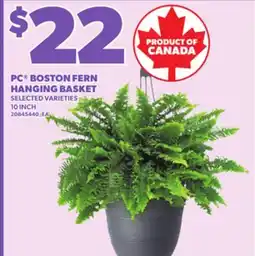 Loblaws PC BOSTON FERN HANGING BASKET, 10 INCH offer