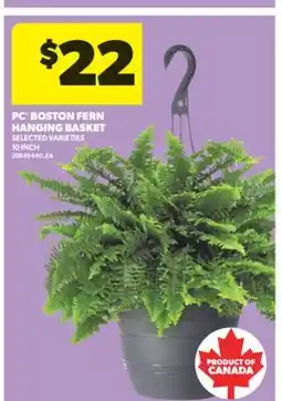 Real Canadian Superstore PC BOSTON FERN HANGING BASKET, 10 INCH offer