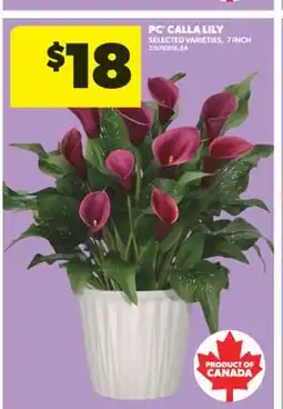 Real Canadian Superstore PC CALLA LILY, 7 INCH offer