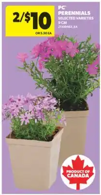 Real Canadian Superstore PC PERENNIALS, 9 CM offer