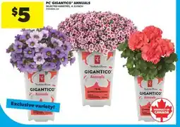 Real Canadian Superstore PC GIGANTICO ANNUALS, 4.33 INCH offer