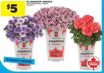 Real Canadian Superstore PC GIGANTICO ANNUALS, 4.33 INCH offer