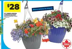 Real Canadian Superstore PC JUMBO ANNUAL HANGING BASKET, 12 INCH offer