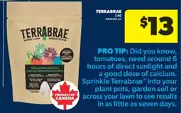 Real Canadian Superstore TERRABRAE offer