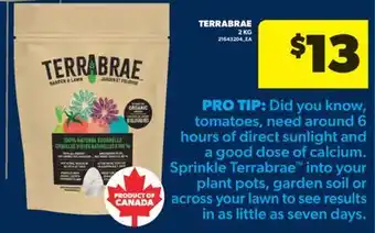 Real Canadian Superstore TERRABRAE offer