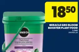 Real Canadian Superstore MIRACLE GRO BLOOM BOOSTER PLANT FOOD, 1.5 KG offer