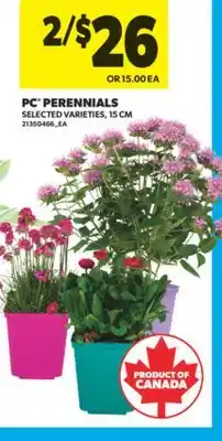 Real Canadian Superstore PC PERENNIALS, 15 CM offer