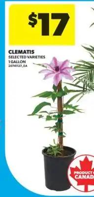 Real Canadian Superstore CLEMATIS,1 GALLON offer