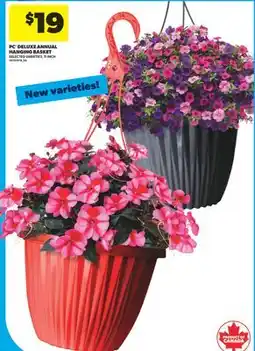 Real Canadian Superstore PC DELUXE ANNUAL HANGING BASKET, 11 INCH offer