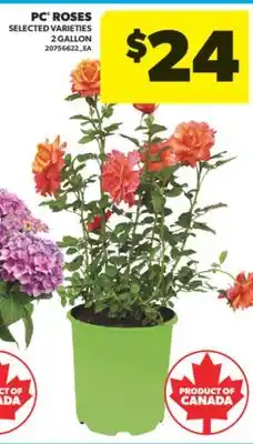 Real Canadian Superstore PC ROSES, 2 GALLON offer