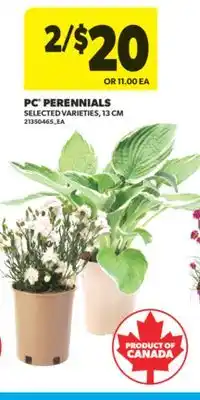 Real Canadian Superstore PC PERENNIALS, 13 CM offer