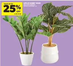 Real Canadian Superstore LIFE AT HOME SILKS offer