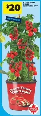Real Canadian Superstore PC VEGETABLES IN CAGE, 10 INCH offer