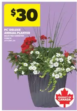 Real Canadian Superstore PC DELUXE ANNUAL PLANTER, 11 INCH offer