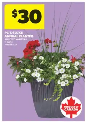 Real Canadian Superstore PC DELUXE ANNUAL PLANTER, 11 INCH offer