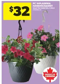 Real Canadian Superstore PC DIPLADENIA HANGING BASKET, 11 INCH offer
