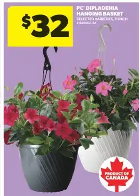 Real Canadian Superstore PC DIPLADENIA HANGING BASKET, 11 INCH offer
