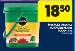 Real Canadian Superstore MIRACLE GRO ALL PURPOSE PLANT FOOD, 1.5 KG offer
