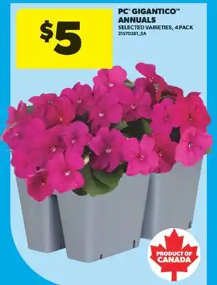 Real Canadian Superstore PC GIGANTICO ANNUALS, 4 PACK offer