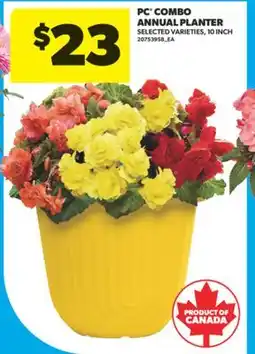 Real Canadian Superstore PC COMBO ANNUAL PLANTER, 10 INCH offer