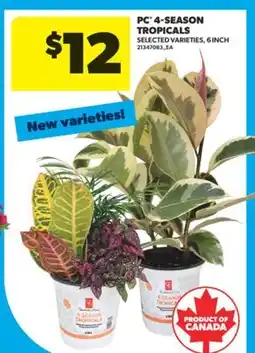 Real Canadian Superstore PC 4-SEASON TROPICALS offer