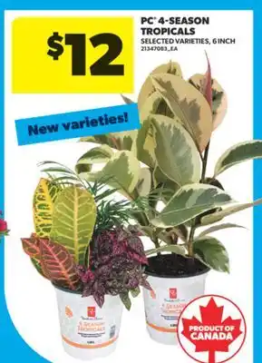 Real Canadian Superstore PC 4-SEASON TROPICALS offer