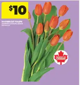 Real Canadian Superstore 10 STEM CUT TULIPS, BUNCH offer
