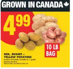 No Frills RED, RUSSET or YELLOW POTATOES offer