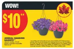 No Frills HANGING BASKETS, 10 inch offer