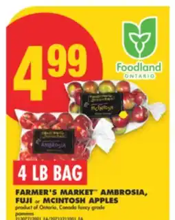 No Frills FARMER'S MARKET AMBROSIA, FUJI or MCINTOSH APPLES, 4 LB BAG offer