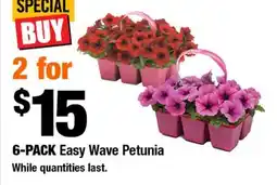 Home Depot 6-Pack Easy Wave Petunia offer