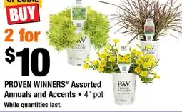 Home Depot Proven Winners Assorted Annuals and Accents offer