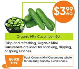 Healthy Planet Organic Mini Cucumber (6ct) offer