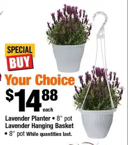Home Depot Lavender Planter offer
