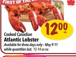 Farm Boy Cooked Canadian Atlantic Lobster offer