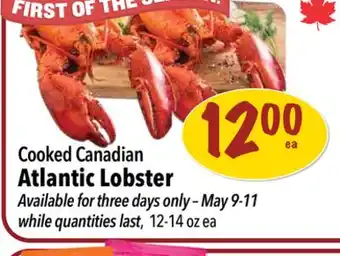 Farm Boy Cooked Canadian Atlantic Lobster offer