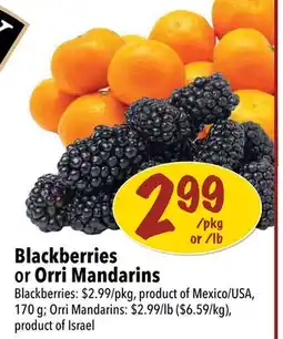 Farm Boy Blackberries or Orri Mandarins offer