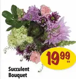 Farm Boy Succulent Bouquet offer