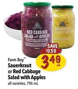 Farm Boy Farm Boy Sauerkraut or Red Cabbage Salad with Apples offer