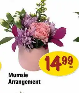 Farm Boy Mumsie Arrangement offer
