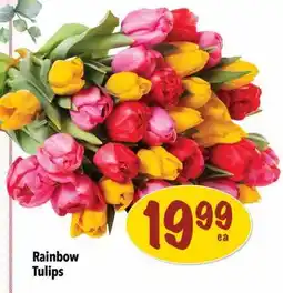Farm Boy Rainbow Tulips offer