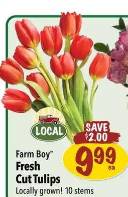 Farm Boy Farm Boy Fresh Cut Tulips offer