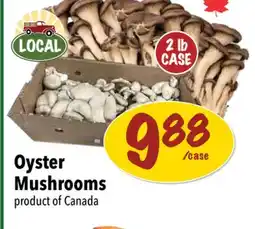 Farm Boy Oyster Mushrooms product of Canada offer