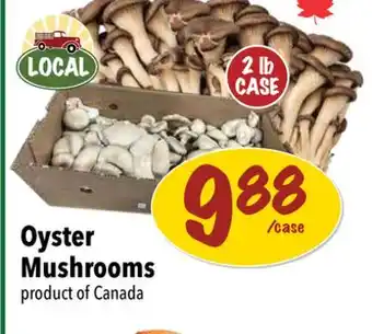Farm Boy Oyster Mushrooms product of Canada offer