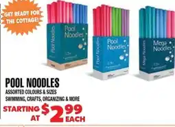 Len's Mill Stores Pool Noodles offer