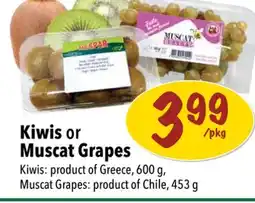 Farm Boy Kiwis or Muscat Grapes offer