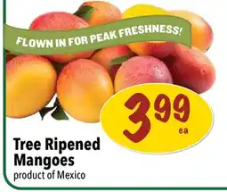 Farm Boy Tree Ripened Mangoes offer